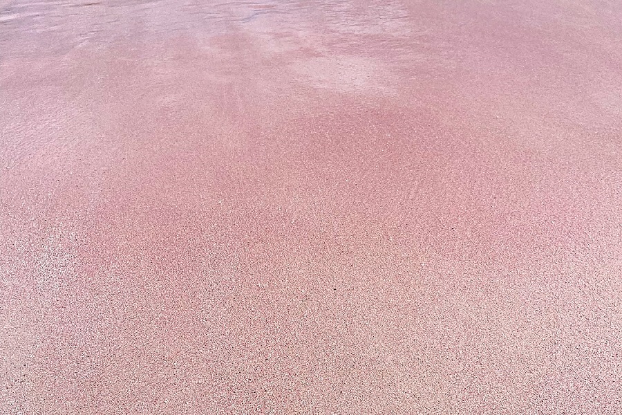 コモド諸島旅行はサラトラベルコモド