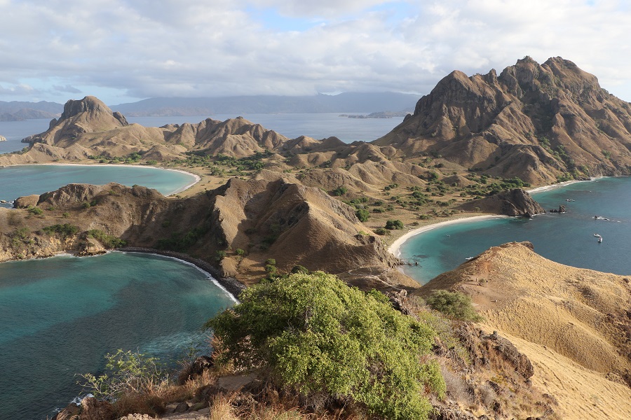 コモド諸島旅行はサラトラベルコモド