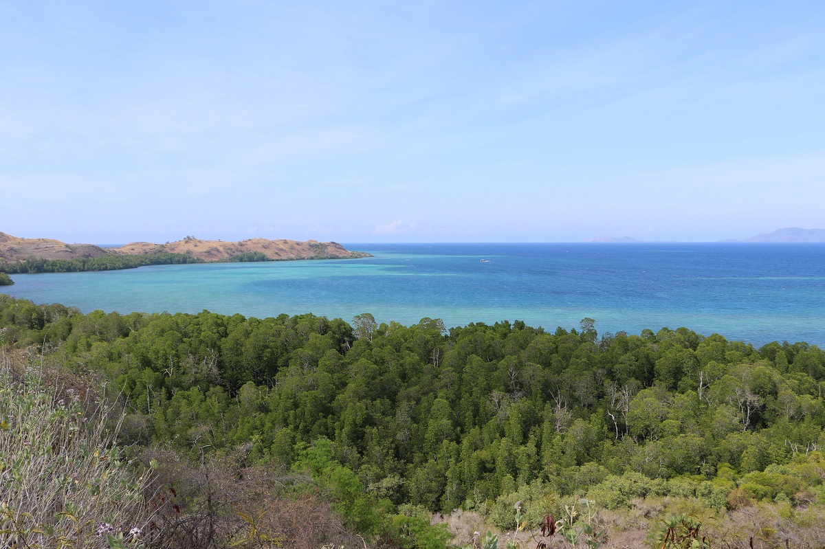 コモド諸島旅行はサラトラベルコモド