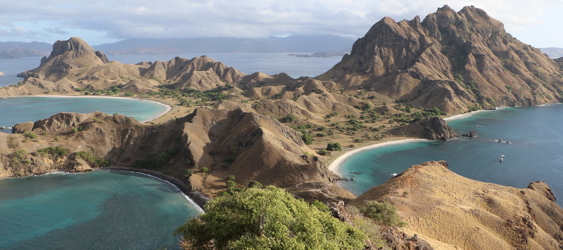 コモド諸島旅行はサラトラベルコモド