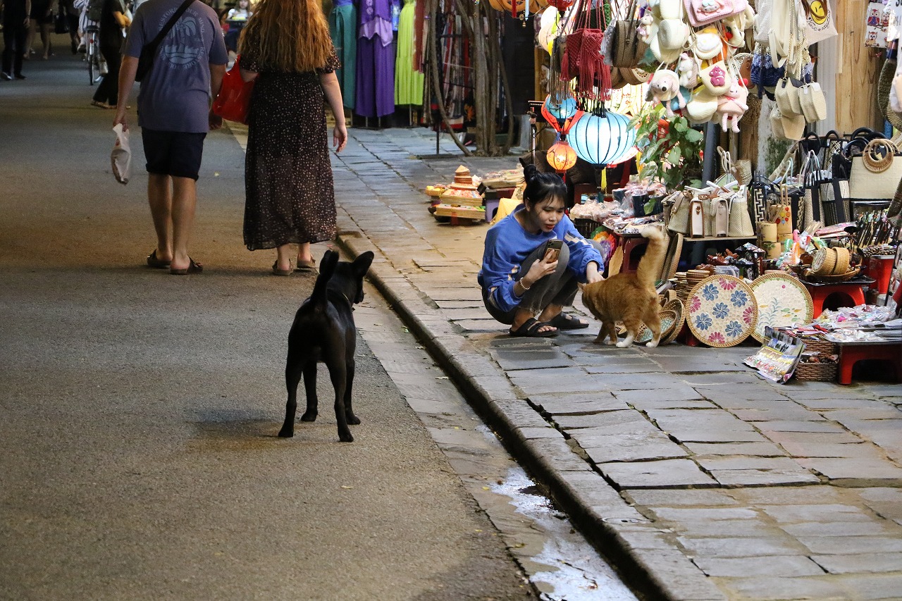 ホイアン旅行はサラトラベルベトナム